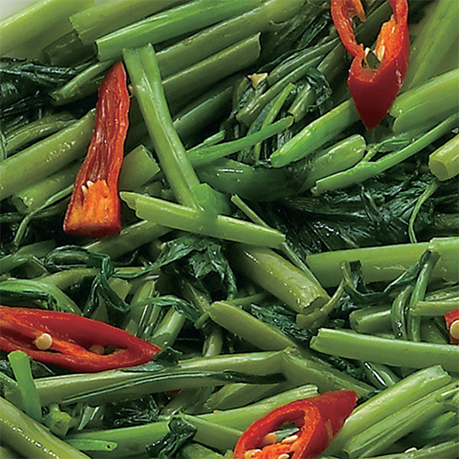 Frozen On Choy (Flavored)